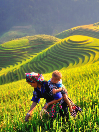 Voyage-Vietnam-en-famille 