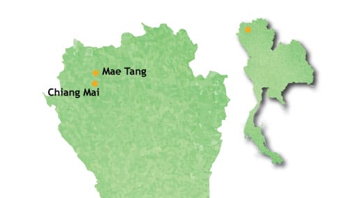 Chiangmai